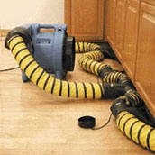 Drying beneath the kitchen sink and cabinets