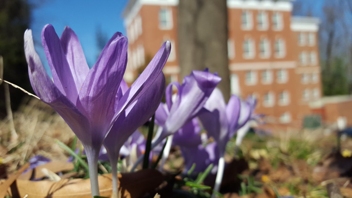 Jerry Slezak tweet media