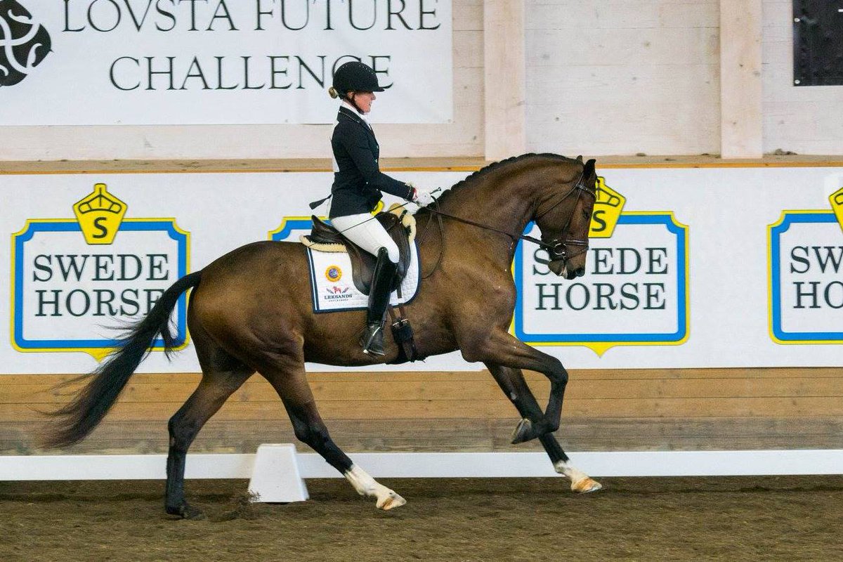 ptrkbrgstrm's tweet photo. When the dream suddenly ends...
SP Secret Son (SWB)  aka "Sigge"  2012-06-06 - 2017-02-24
#StallPikeur #SPSecretSon😢 https://t.co/XemUxZaPfi