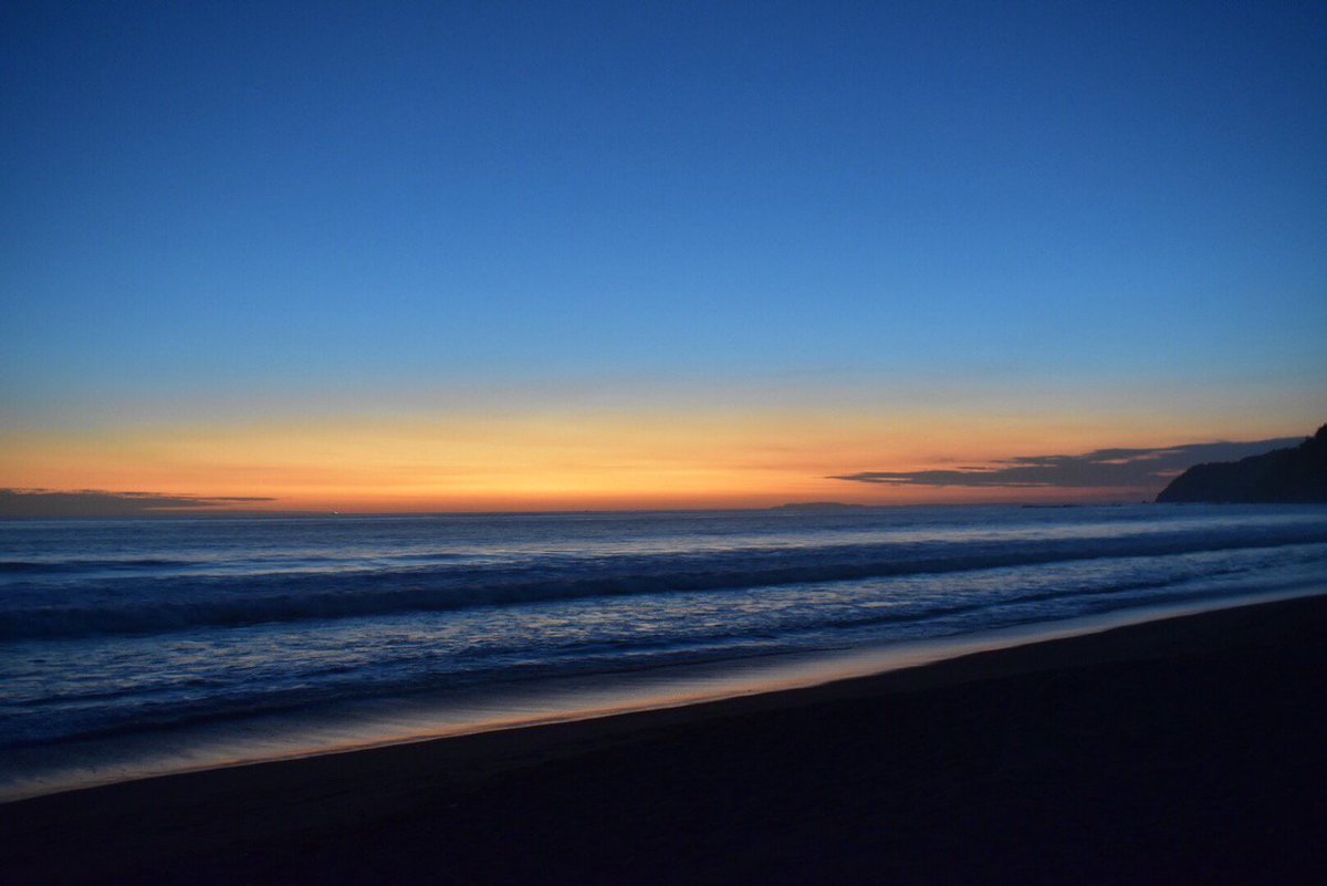 ¿Cómo se siente el zumbido?

#JungleJam2017 #PuraVida