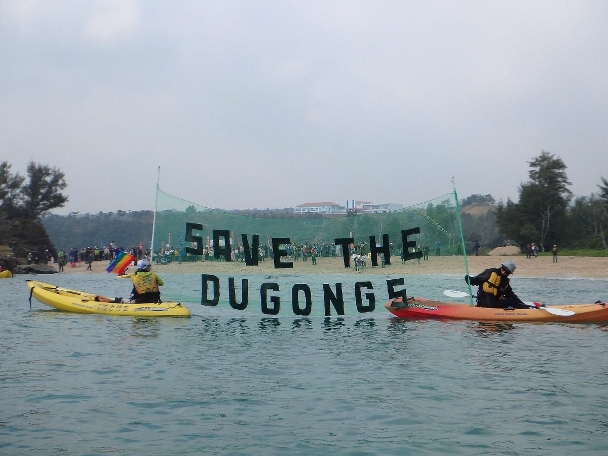PerErikSchulze's tweet photo. Okinawa: #coralbayprotectors and #kayactivists active week in #OuraBay vs. U.S. airfield project 📷👉🏼@IWJ_okinawa1 @yamasaki_taworu @nyansusu https://t.co/Jnh5wpn2yM