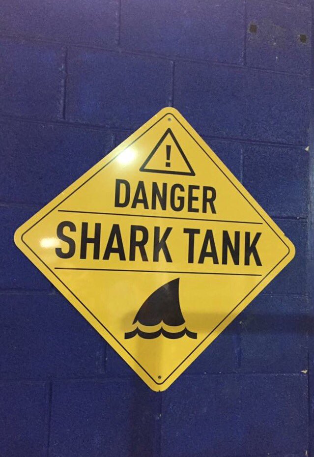 GLTalent's tweet image. TONIGHT!!!

#ChrisandDannyVlog 

🦈🦈🦈🦈🦈🦈🦈🦈🦈🦈