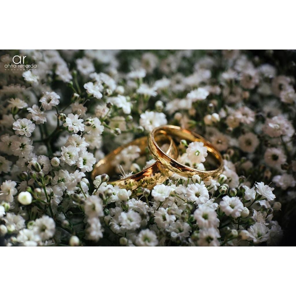 AnnaRenarda's tweet photo. Gold wedding bands on delicate floral pillow. .
.
#flowers #babybreath #delicate #rings #w… https://t.co/boZxhGonQt https://t.co/u2GKwoSgiN