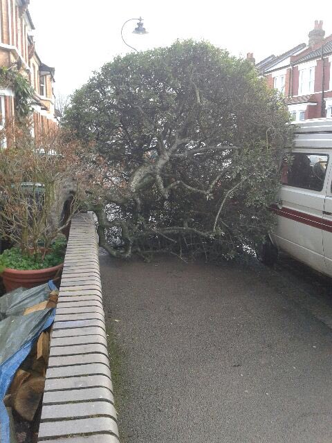 ThorsTrees's tweet photo. Yesterday's 'Emergency Callout' #5 Muswell Hill ...
#ThorsTrees #StormDoris #EmergencyTreeWork https://t.co/TJXrq8GzuQ