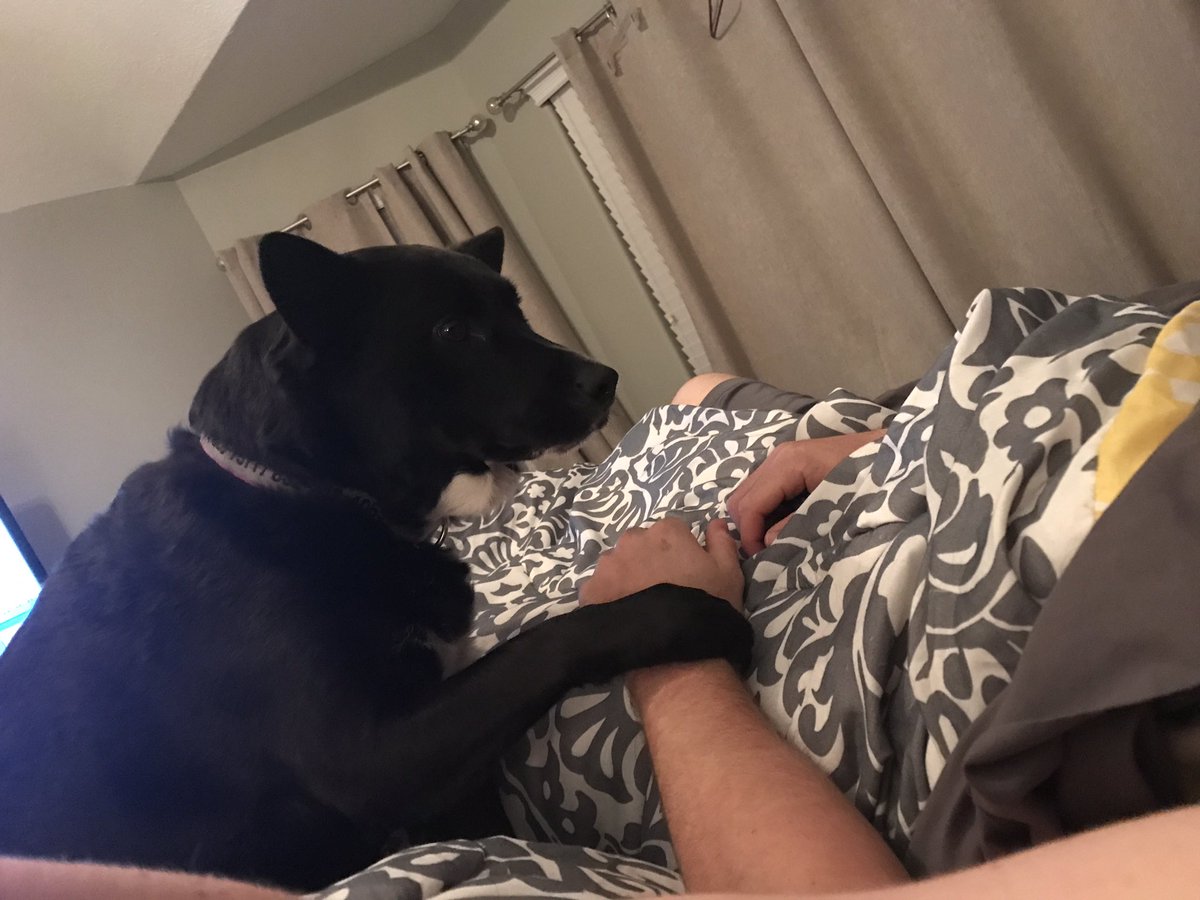 Sar_Dean3's tweet photo. Daisy says "why don't you stayyyy?!" #poorbug #daddysgirl @AustinDean_3 https://t.co/ALHeHnLu9X