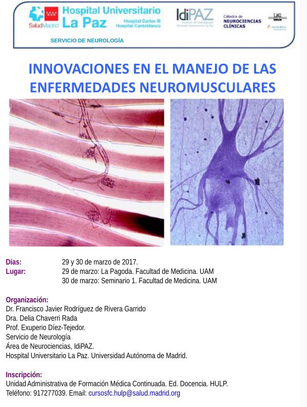 CurroNeuro's tweet photo. Preparando un nuevo curso https://t.co/0jFJCmI0Wu