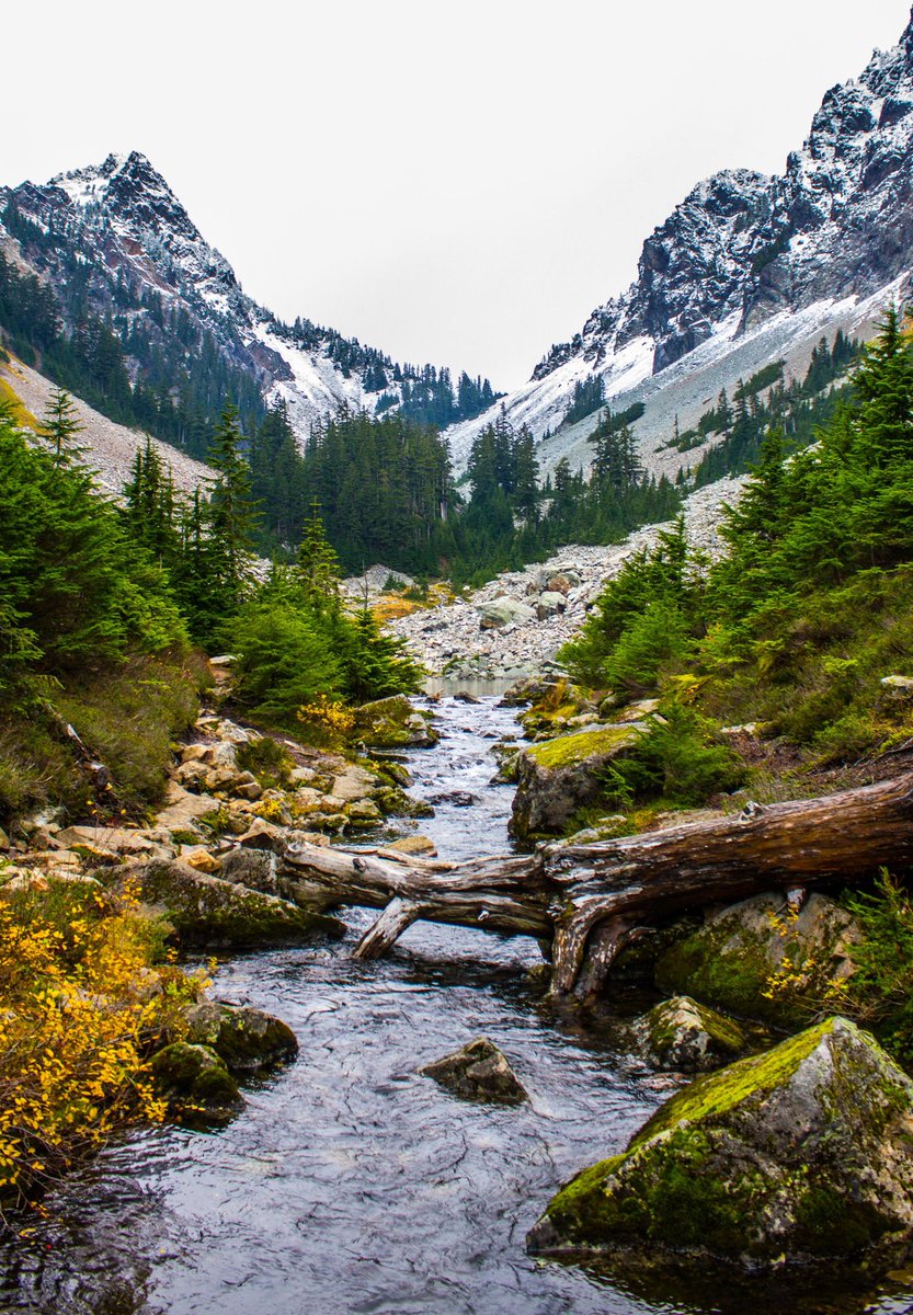 ~ G O N E 
        f I s h I n g ~