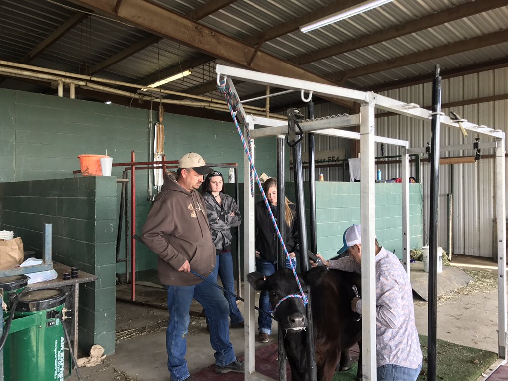 CBabovec's tweet photo. SRHS students getting ready for the County Show. Good luck to all our participants! @ScurryRosser1 https://t.co/ZVj19N39FJ