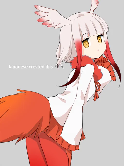 トキ 