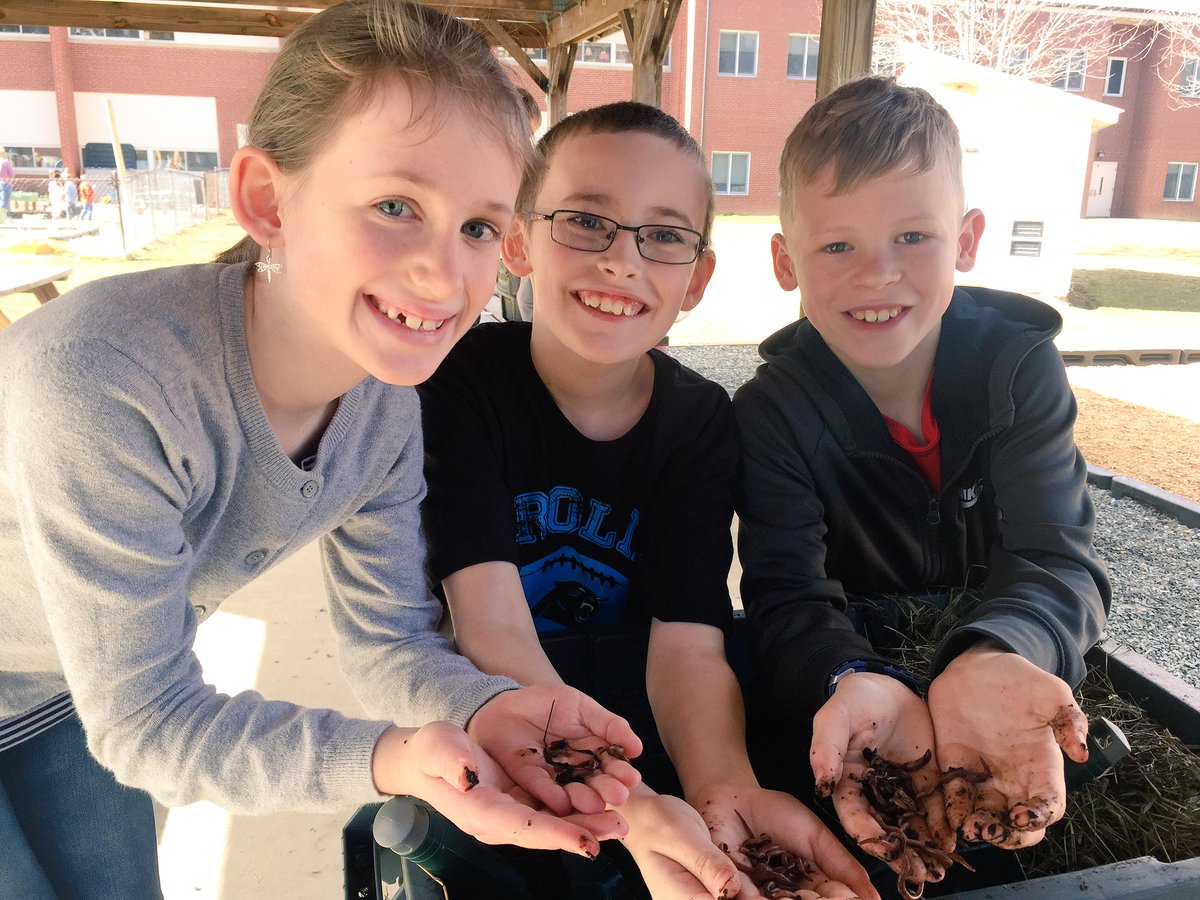 Pryors3rdGrade's tweet image. Worms for everyone!  #wormcomposting