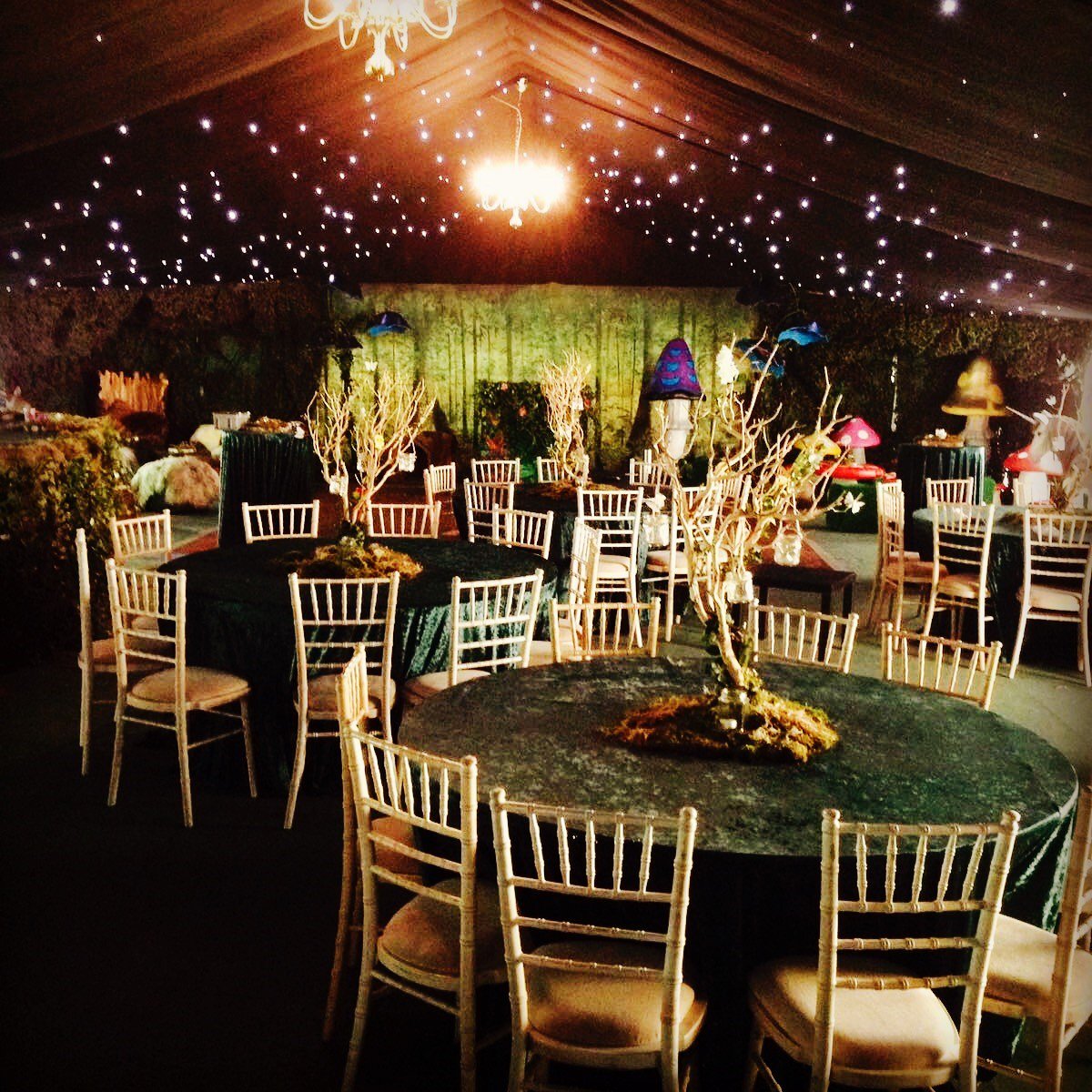 Enchanted forest marquee ready for a party this weekend, well done <a href="/theme_traders/">themetraders</a> great job! #marqueehire #surrey #eventprofs