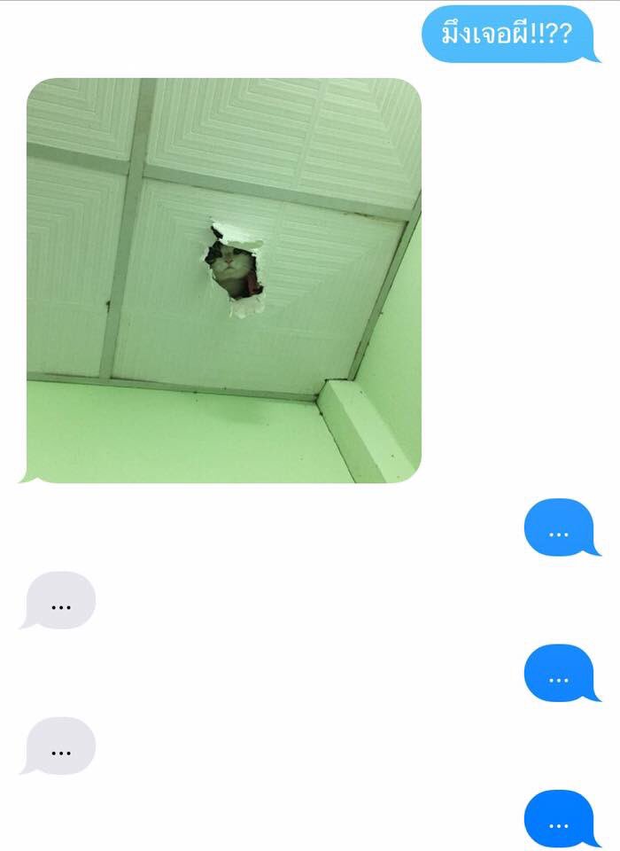 under_ufo's tweet photo. อ่านเจอในเฟส น่ากลัวมาก https://t.co/CpIDHcOXqy