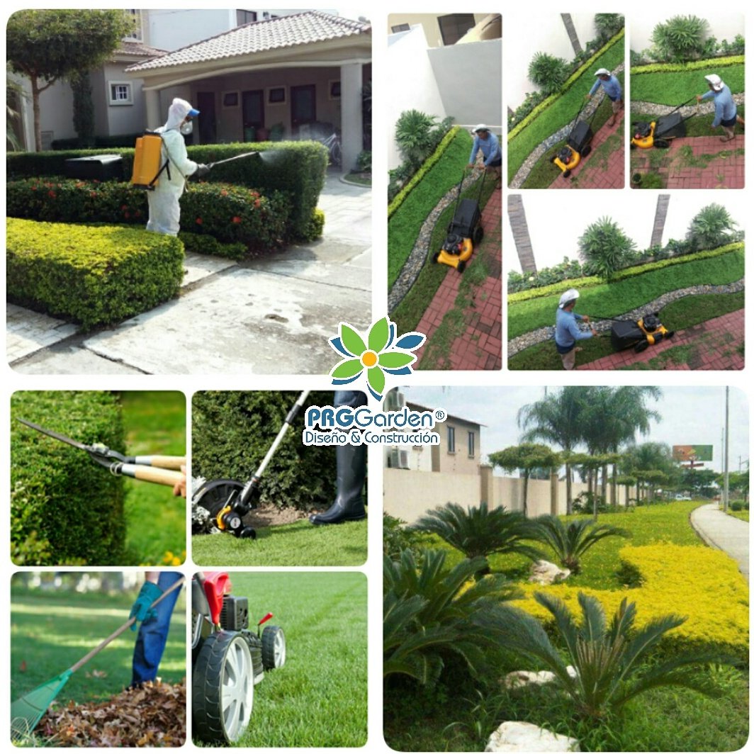 PRG_GARDEN's tweet photo. El invierno ya es de #Todos. 
Plagas? Plantas enfermas?
Tenemos diferentes planes que seguro se ajustan a su presupuesto.
Cel: 093-9640406 https://t.co/H10cHkAEJT