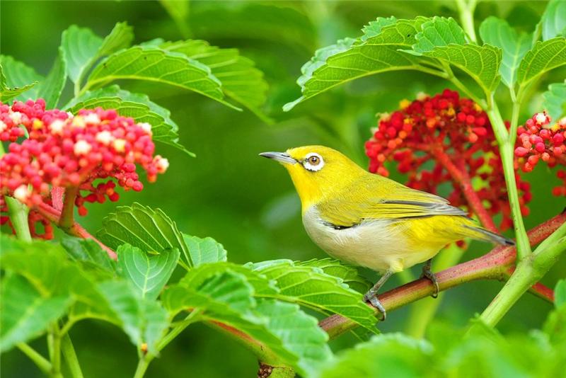 Gee Enne tweet media