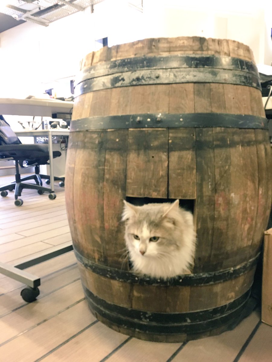 42born2code's tweet photo. Voilà qui va plaire à @Kwame42 #wine #LeChat42 https://t.co/f9mPC58p0b