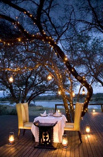 Here's an off-season idea for utilizing your #ChristmasDecor lights year round!