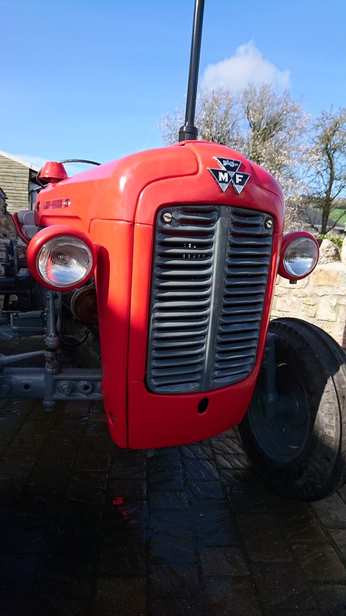 Muddy has had his annual bath to welcome everyone to the shop this weekend