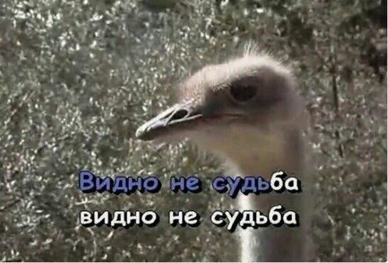 Когда просишь у Дяди Паши <a href="/PP_Russia/">Павел Пятницкий</a> сигну,  а он делает ее другим :с #Пятницкие