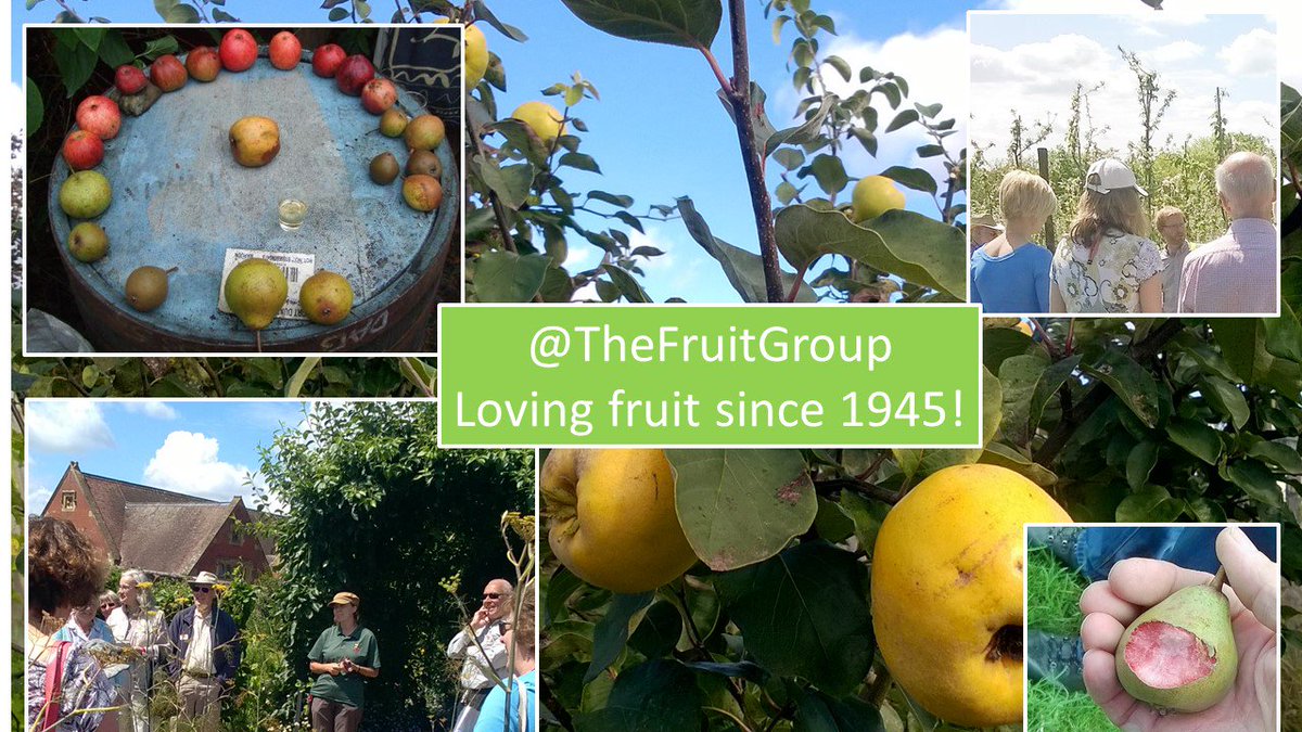 The Fruit Group 2
