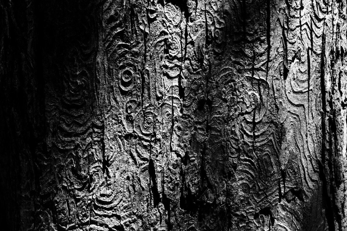 Il existe de l'art abstrait. Il existe aussi des photos abstraite. Le saviez-vous ? #curieux4 - Photos prises par Anne-Sophie Beaudoin