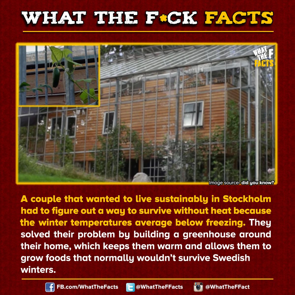 WhatTheFFacts's tweet photo. https://t.co/sQdOKffTaR