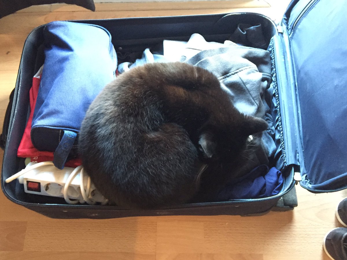 RickRelentless's tweet image. Alright, everything is packed for GDC Flying state side tomorow, see you there!