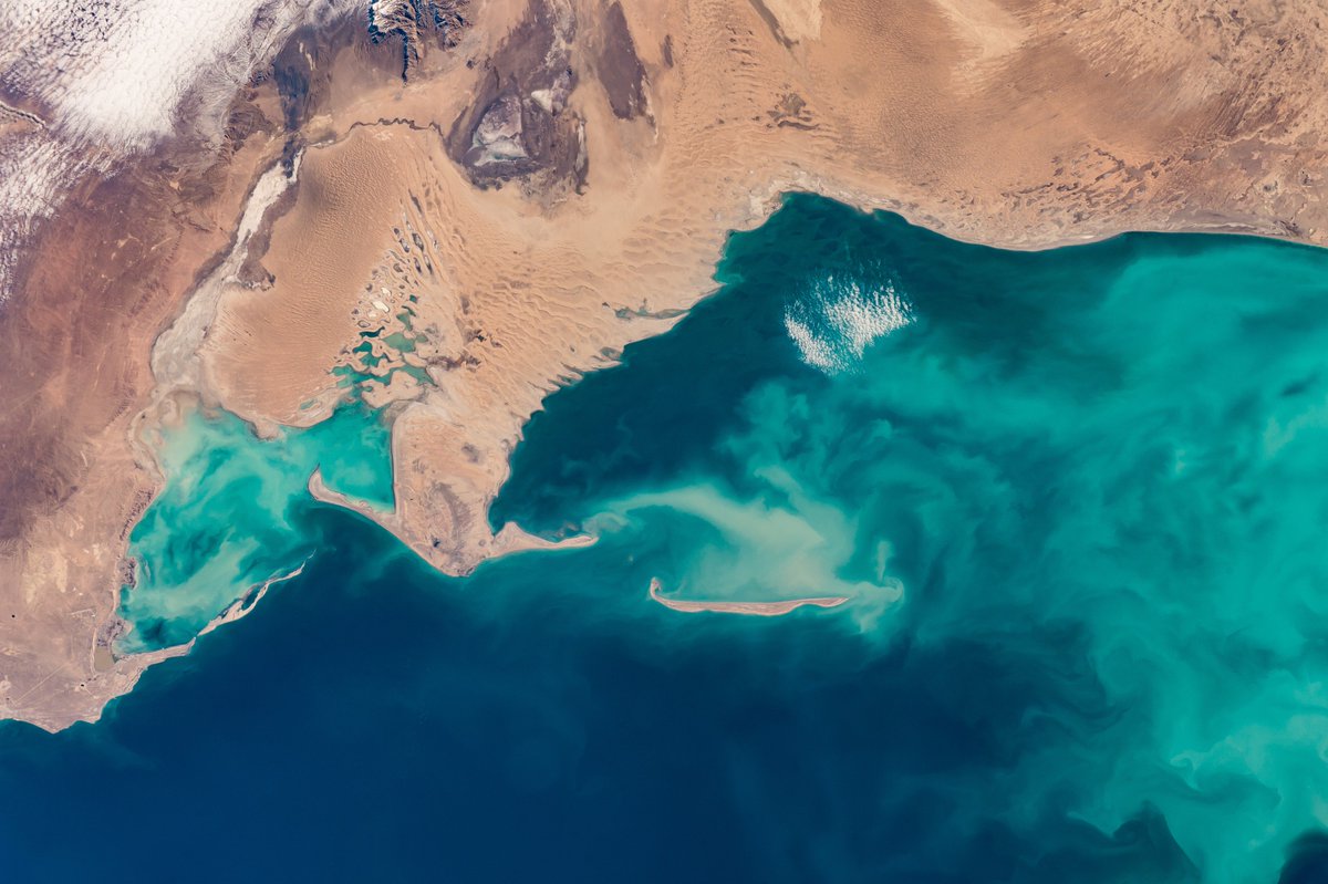 NASA Science tweet media