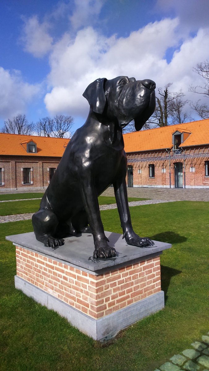 Piero Sports Graphics tweet media