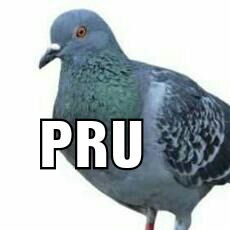 1UnicorniaCrazy's tweet image. #Polarizando pru pru