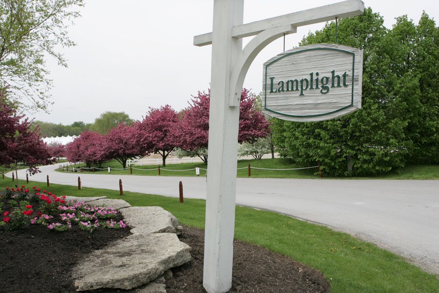 Who's coming to see us this summer at Equifest? #cantwait #equifest #horseshowfun