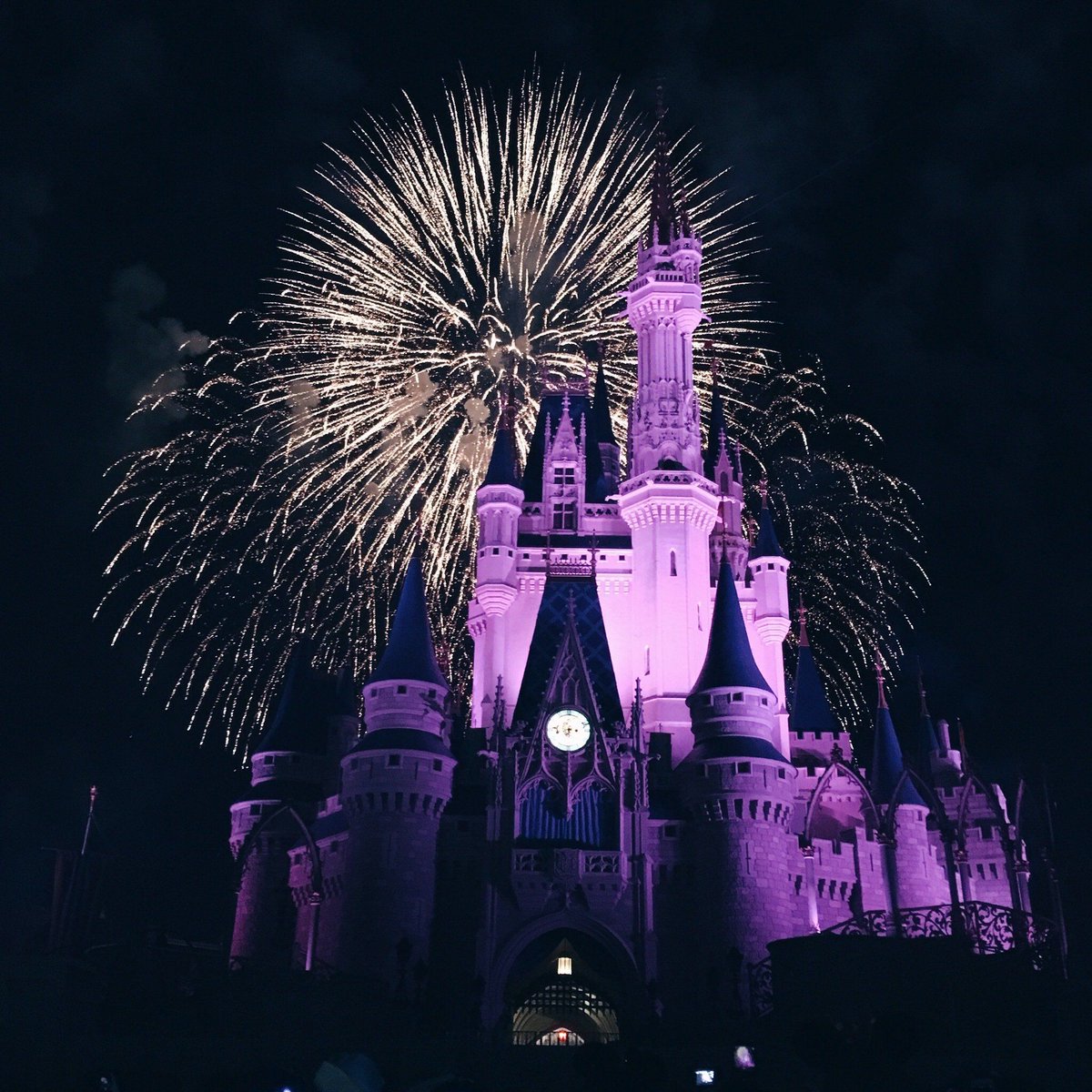 ViajaEnElMundo's tweet photo. Disney World 🌎 https://t.co/t3nqQnDyOS