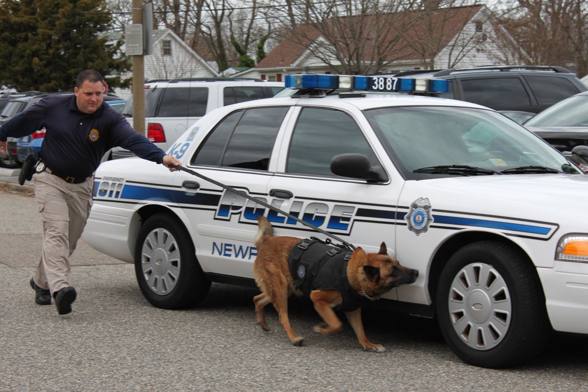NewportNewsPD's tweet photo. Thank you for inviting us to Career Day, @CrittendenROCKS! #NNPDK9Unit https://t.co/lgDyLyK78L
