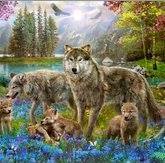 Mischa (@dino20171) on Twitter photo 