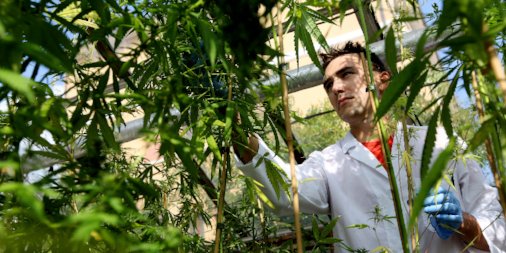 BrookingsInst's tweet photo. What Sean Spicer got right and wrong in his comments about marijuana yesterday https://t.co/GTe6kLiFig https://t.co/8PQy2TT7d0