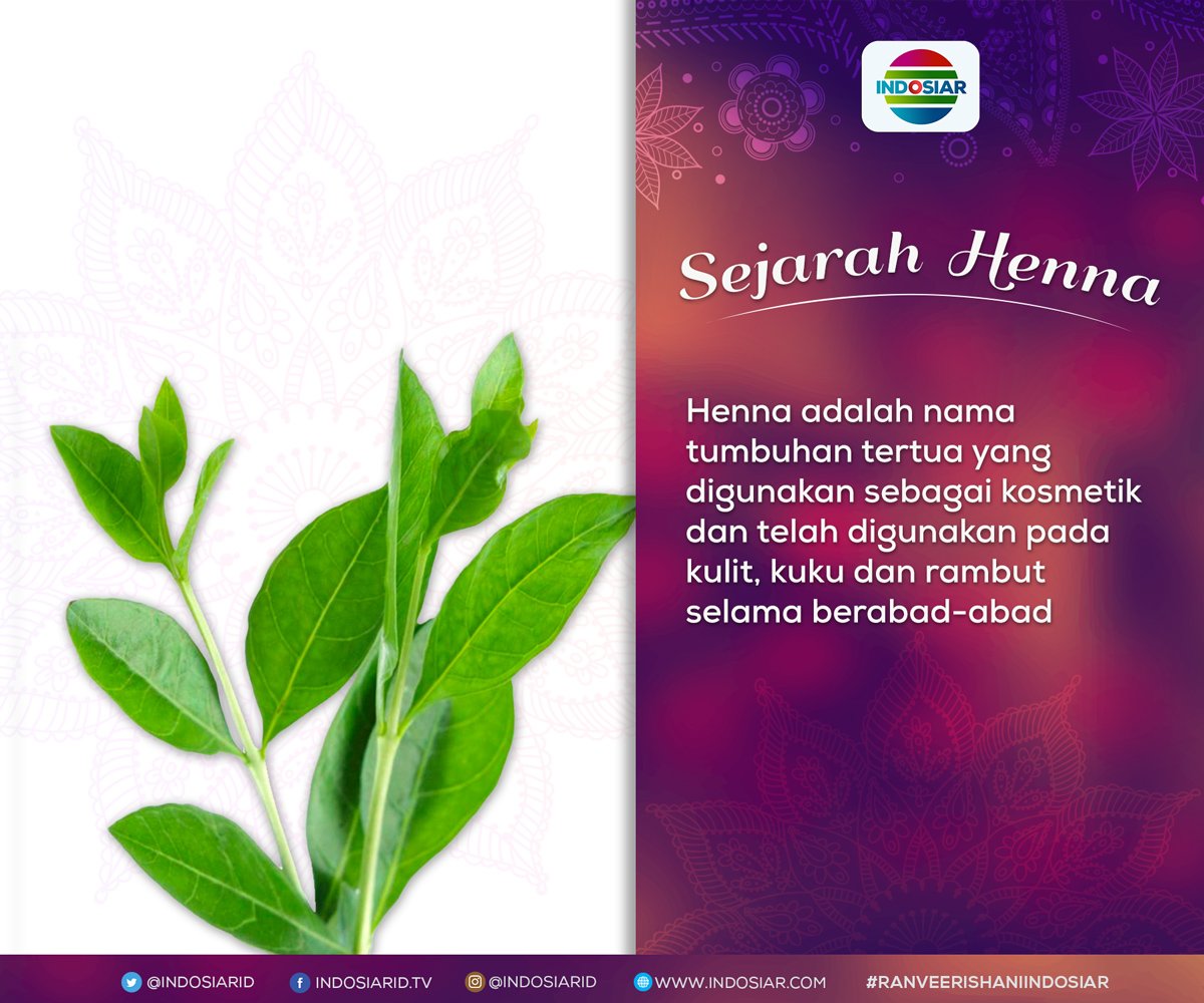 Indosiar's tweet photo. Wah ini dia salah satu sejarah Henna yang sering dipakai Ishani. Apakah kamu sudah tahu? #RanveerIshaniIndosiar https://t.co/BPiZ6xnDok