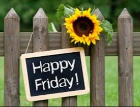 MiniStorage_AN's tweet image. Happy Friday everyone! #FridayFeeling