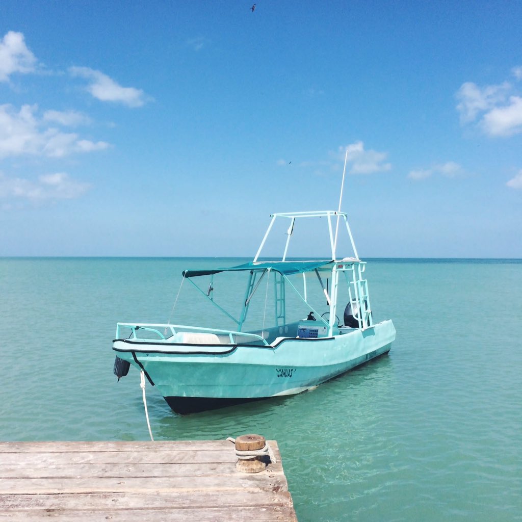 VSCOvisuals's tweet photo. Isla Holbox, Mexico 🇲🇽 https://t.co/hlF6K7B6P5