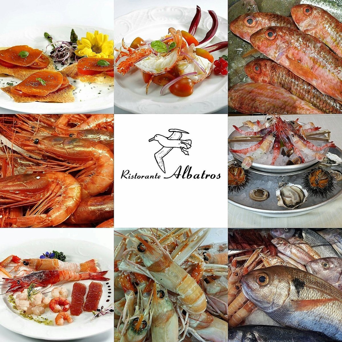 Ristorante Albatros Buona Serata Da Ristorante Albatros Via Mazzini2 Gallarate Varese 5minutes To Milano Malpensa Lineapelle Myplantegarden Mifur Food T Co Sdtmpl2tl0