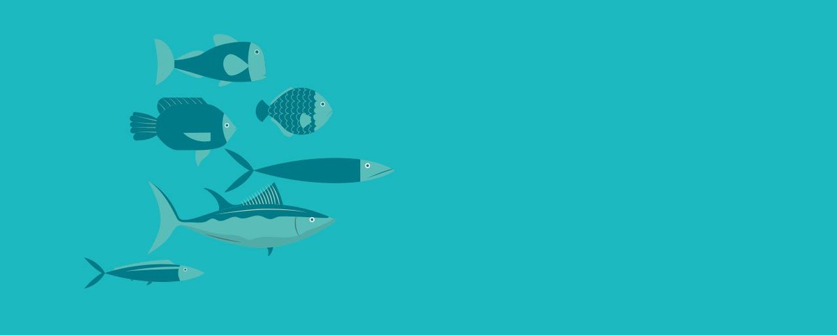 everstring's tweet image. Happy Friday!

See what it takes to build an All-Star #AccountBasedSalesDevelopment team via@Brandon_Lee_09 @engagio ow.ly/8iu5309kutG