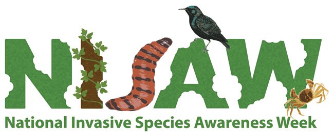 Next week is National Invasive Species Awareness Week! Join us on facebook.com/OchocoNatFores… to learn about species that threaten Central Ore!
