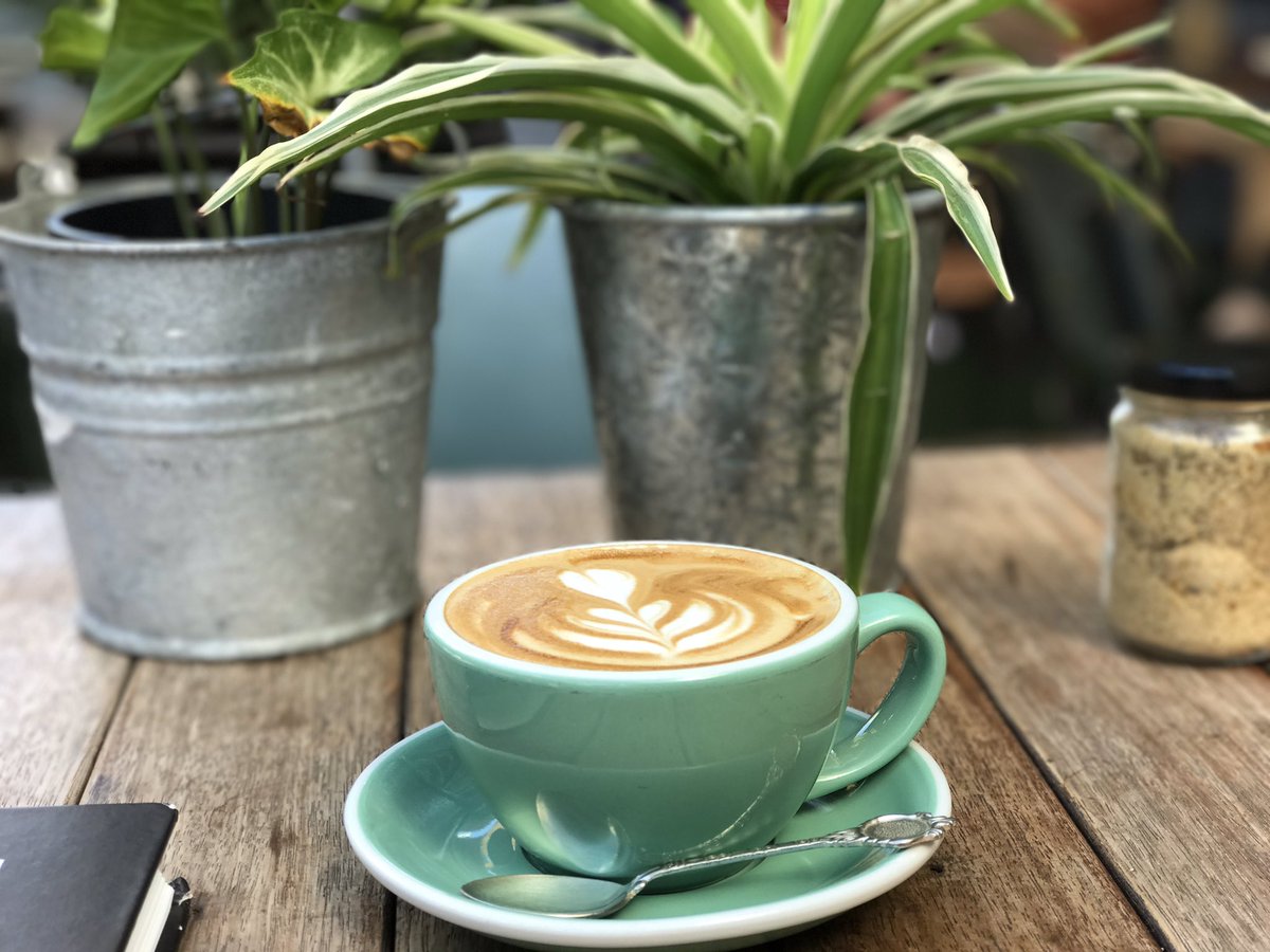 live_brisbane's tweet photo. Just sitting down for a lovely coffee at Menagerie. Love this place
#livebrisbane #brisbanecafe #menageriecafe #coffeetime https://t.co/WoWtC72o9a