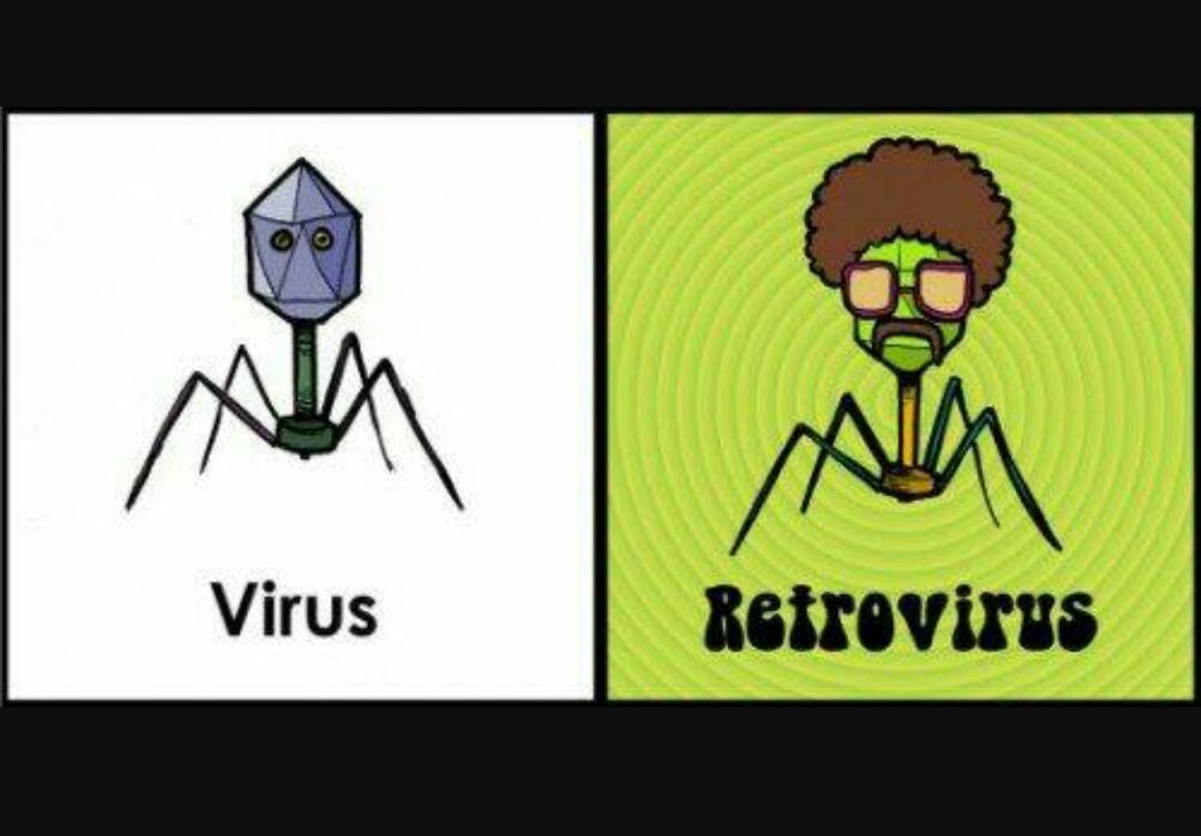 MilenaCastejon's tweet photo. #chistaco✌#Taxonomíavírica @Bohiomicro https://t.co/Um1uxvTLcW