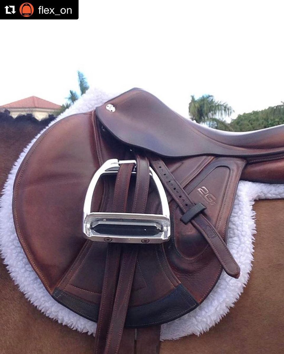 arockstarclean's tweet photo. #equestrian #drycleaners #Repost @flex_on with @repostapp
Flex-on Hunter Line ! #wef #wef2017 #winterequestrianfestival #hunter #equitation https://t.co/nK2YPQrs6G