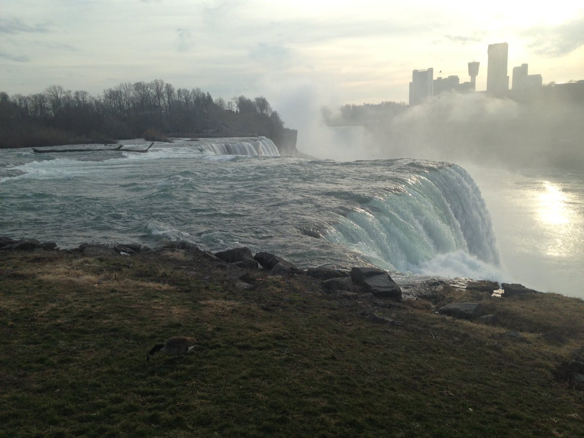 IwearCrocsAlot's tweet photo. A couple Canadian geese on the brink of #niagarafalls #americanside maybe guarding their nest? https://t.co/SgXy15asa3
