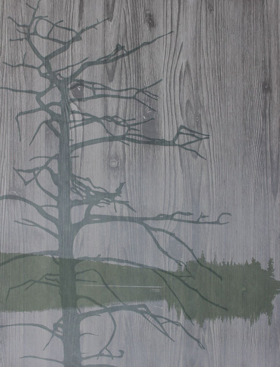 HarrisonCtrArts's tweet photo. Minda Douglas's Nature As Spirit opens in Speck Gallery Friday, March 3, 6-10pm. #idadafirstfriday https://t.co/4Hfv1XAEAm