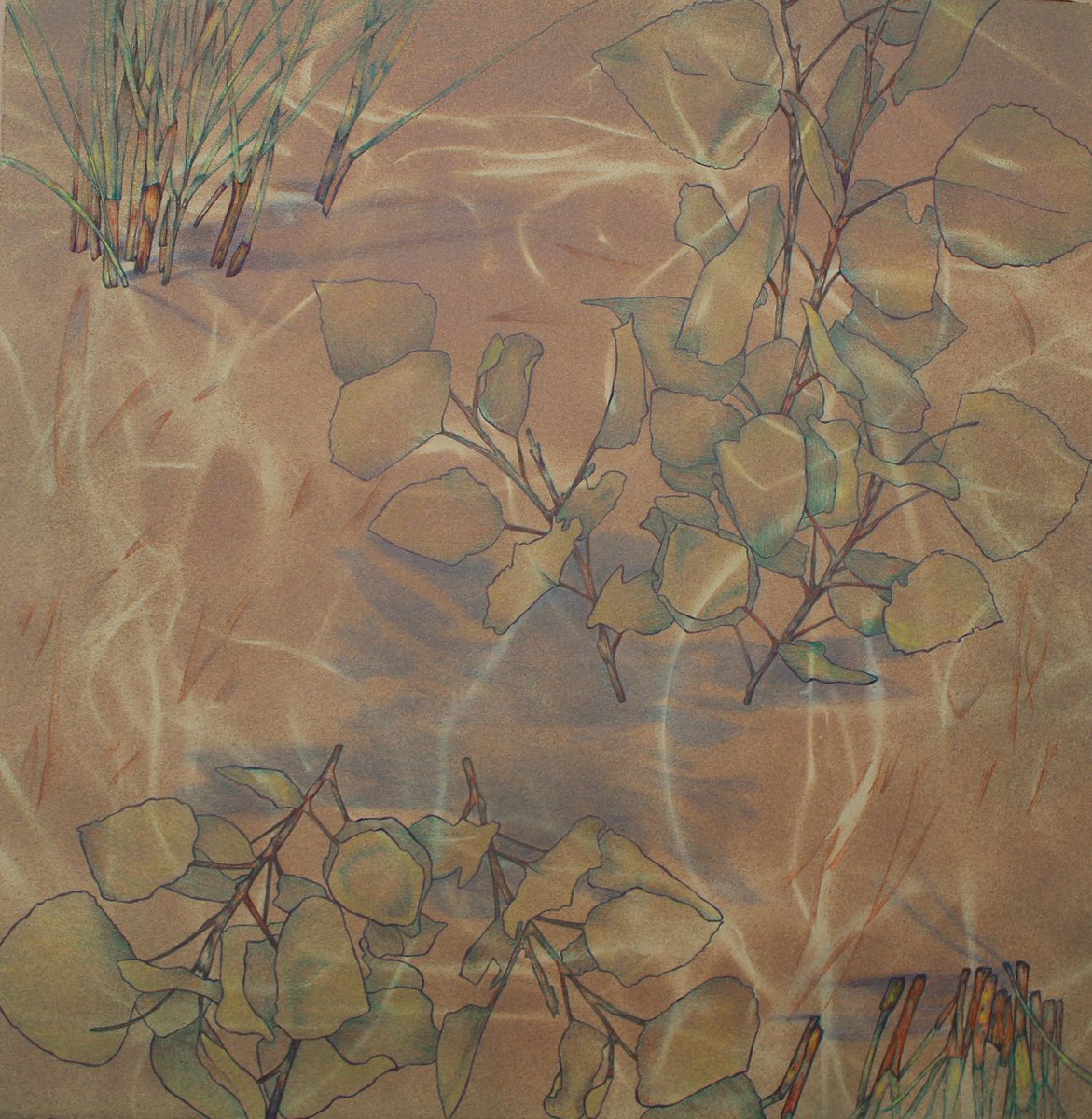 HarrisonCtrArts's tweet photo. Minda Douglas's Nature As Spirit opens in Speck Gallery Friday, March 3, 6-10pm. #idadafirstfriday https://t.co/4Hfv1XAEAm