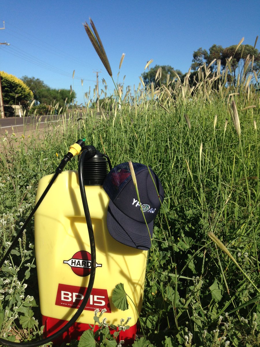 CropDoctor54's tweet photo. Council/NRM couldn't, but gave me permission to spray. It's war FTR!
#gameon #morethanIthought #nicedayforawalk https://t.co/b1qT2gP1nC