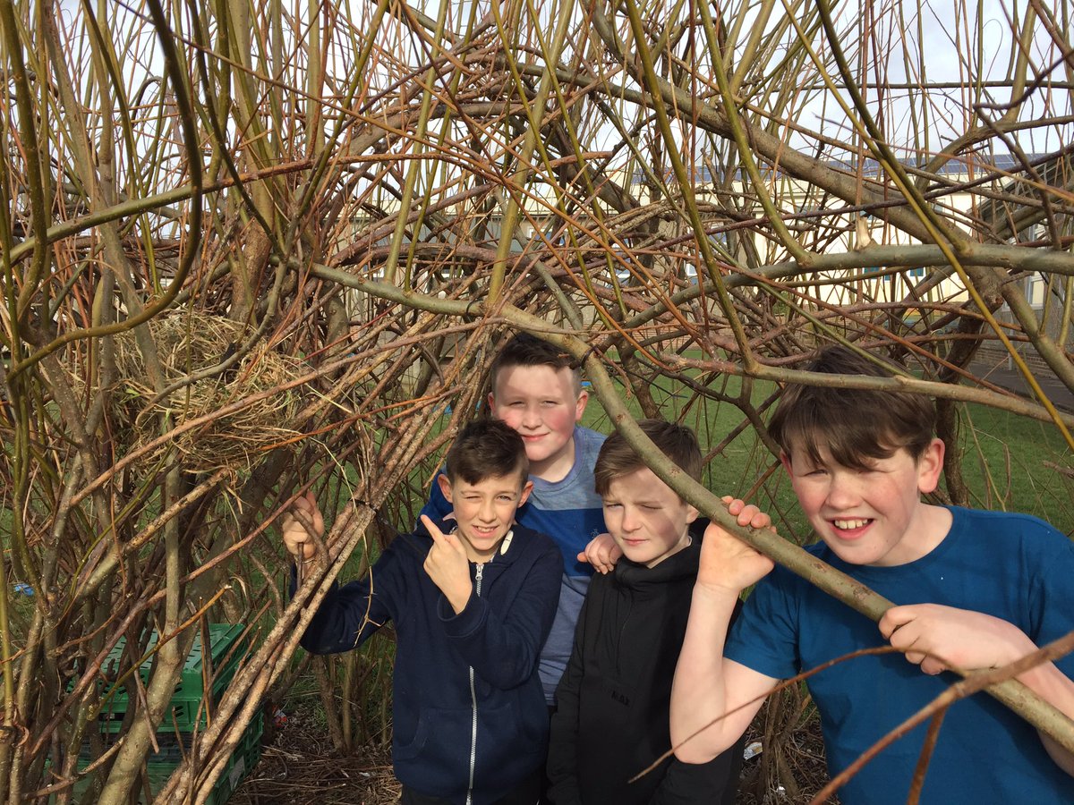 Mr. McMahon (@mrmcmahontps) on Twitter photo P7 had a great time with P2/1 building nests. @MrsJForsythe1 gave a great briefing before we started! <a href="/ThornliePrimary/">Thornlie Primary P and C</a> <a href="/EdScotOL/">Outdoor Learning ES</a> P7 had a great time with P2/1 building nests. @MrsJForsythe1 gave a great briefing before we started! <a href="/ThornliePrimary/">Thornlie Primary P and C</a> <a href="/EdScotOL/">Outdoor Learning ES</a>