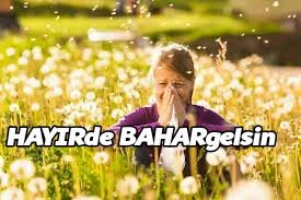 Hayır de çiçekler açsın.
Hayır de Türkiye şahlansın.
Hayır de Türkiye TÜRKlere kalsın.

HAYIRde BAHARgelsin