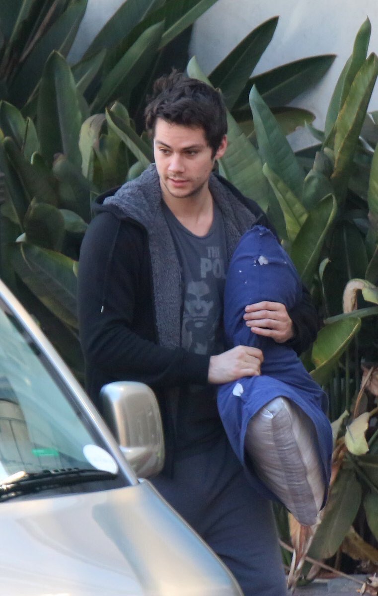 CastrouMagda's tweet image. Amor puro a la almohada 😍😂❤